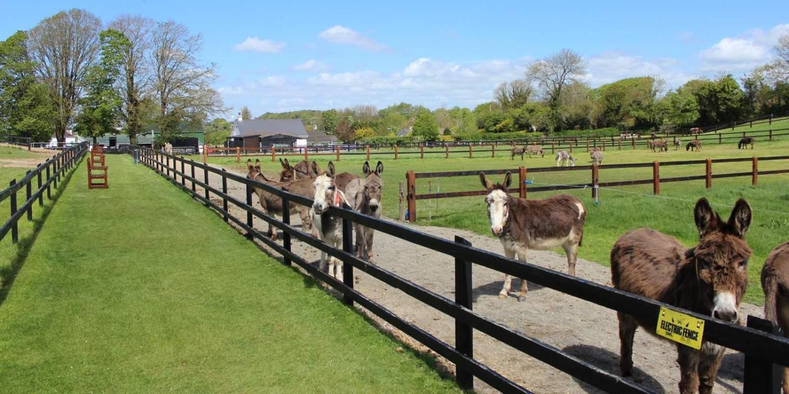 Charleville Park Hotel & Leisure Club Ireland Ngoại thất bức ảnh